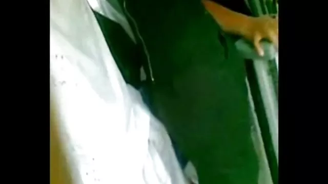 XXX بدون ثبت نام درس روز فیلمهای سکسی زنان باحیوانات